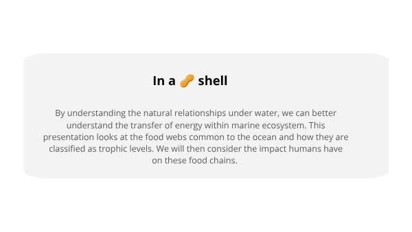 The Marine Food Web Education Presentation — slide 3