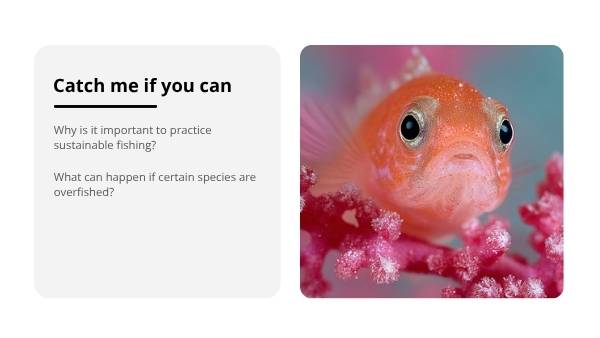 The Marine Food Web Education Presentation — slide 4
