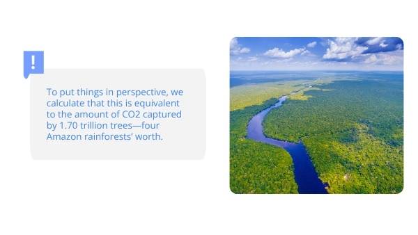 The Marine Food Web Education Presentation — slide 12