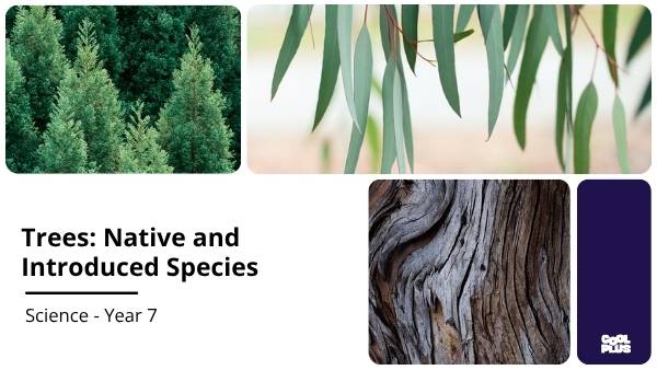 Trees: Native and Introduced Species Education Presentation — slide 1
