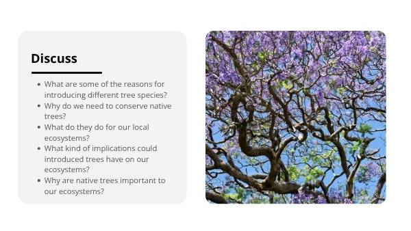 Trees: Native and Introduced Species Education Presentation — slide 3