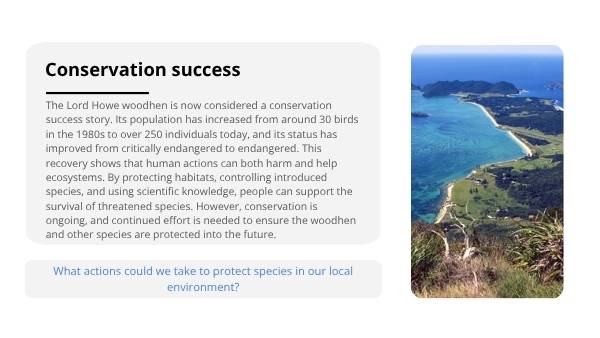 Lord Howe Woodhen Educational Presentation — slide 8