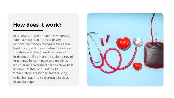 Ethics of Organ Transplantation Education Resources — slide 4