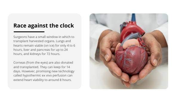 Ethics of Organ Transplantation Education Resources — slide 5