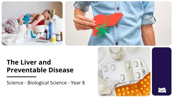 The Liver and Preventable Disease Education Presentation — slide 1
