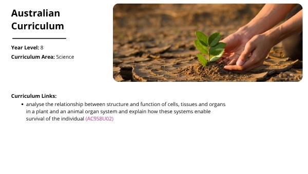 The Liver and Preventable Disease Education Presentation — slide 2