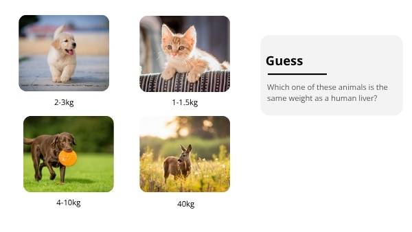 The Liver and Preventable Disease Education Presentation — slide 5
