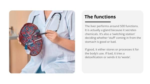 The Liver and Preventable Disease Education Presentation — slide 8