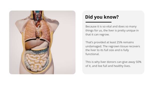 The Liver and Preventable Disease Education Presentation — slide 9