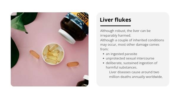 The Liver and Preventable Disease Education Presentation — slide 11