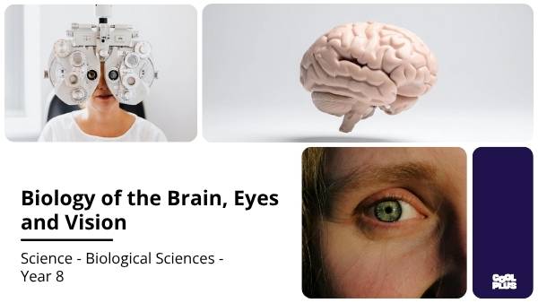 Biology of the Brain, Eyes and Vision Education Presentation — slide 1