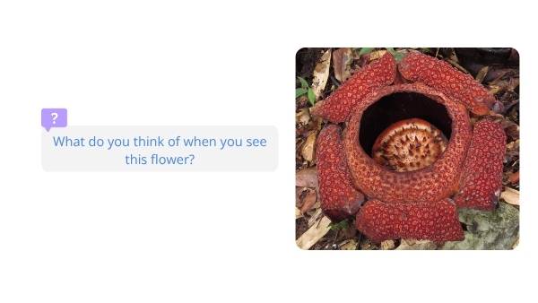 Biology of the Brain, Eyes and Vision Education Presentation — slide 4