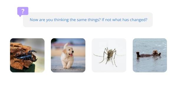 Biology of the Brain, Eyes and Vision Education Presentation — slide 5