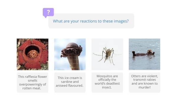 Biology of the Brain, Eyes and Vision Education Presentation — slide 6