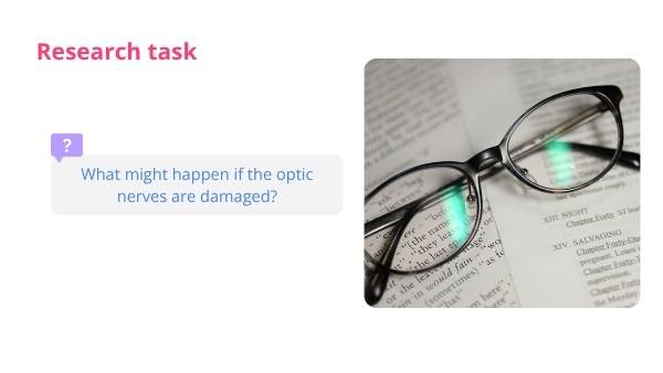 Biology of the Brain, Eyes and Vision Education Presentation — slide 9