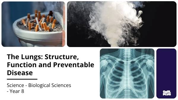 The Lungs: Structure, Function and Preventable Disease Education Presentation — slide 1