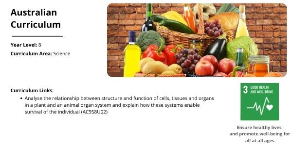 The Lungs: Structure, Function and Preventable Disease Education Presentation — slide 2