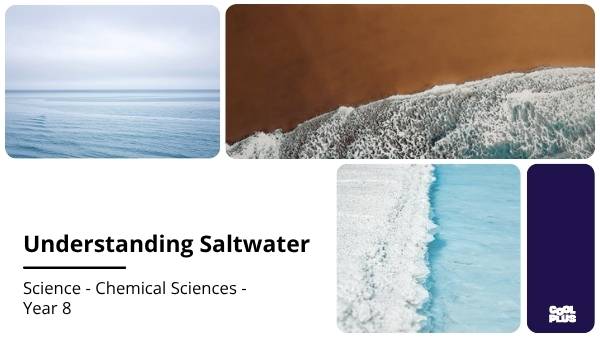 Understanding Saltwater Education Presentation — slide 1