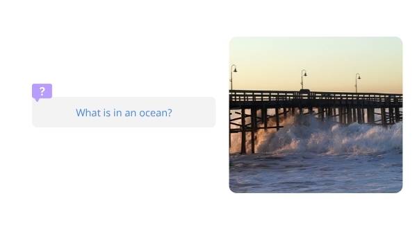Understanding Saltwater Education Presentation — slide 4