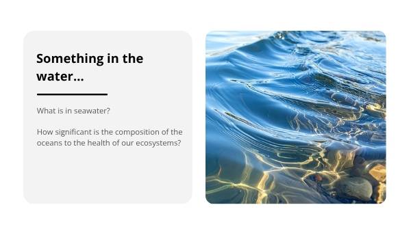 Understanding Saltwater Education Presentation — slide 6