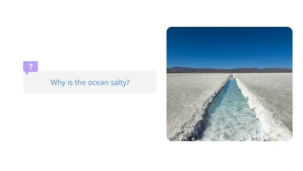 Understanding Saltwater Education Presentation — slide 7
