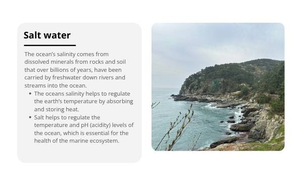 Understanding Saltwater Education Presentation — slide 8