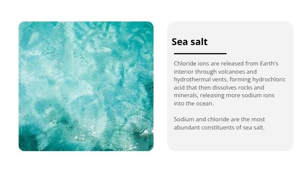 Understanding Saltwater Education Presentation — slide 9