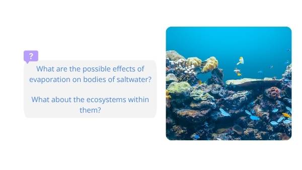 Understanding Saltwater Education Presentation — slide 10