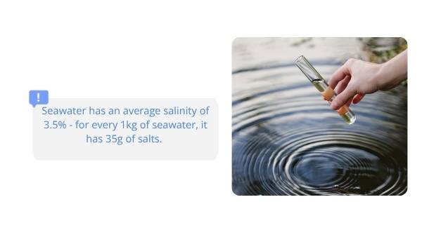 Understanding Saltwater Education Presentation — slide 11