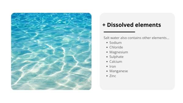 Understanding Saltwater Education Presentation — slide 12