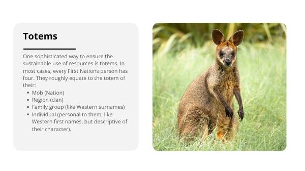 Sustainability Through Traditional Knowledge Education Presentation — slide 9