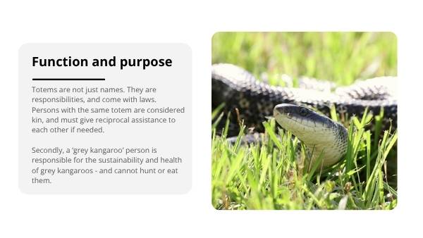 Sustainability Through Traditional Knowledge Education Presentation — slide 10