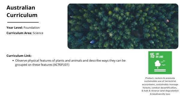 The Features of Creatures Education Presentation — slide 2
