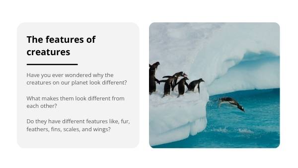 The Features of Creatures Education Presentation — slide 3