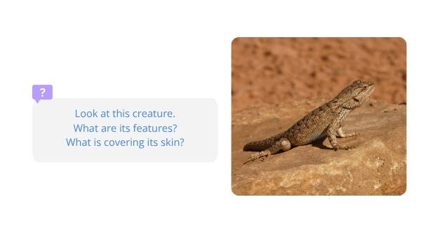 The Features of Creatures Education Presentation — slide 5