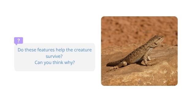 The Features of Creatures Education Presentation — slide 6
