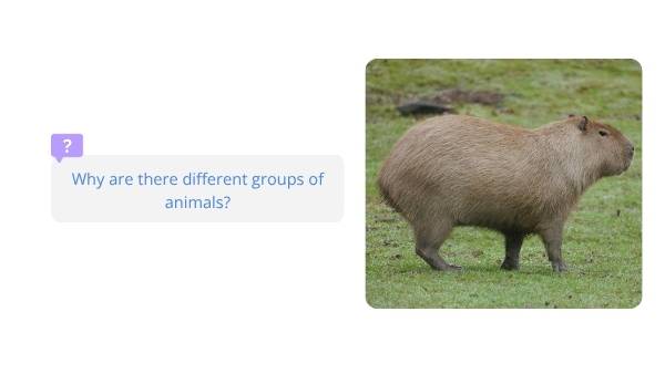 The Features of Creatures Education Presentation — slide 8
