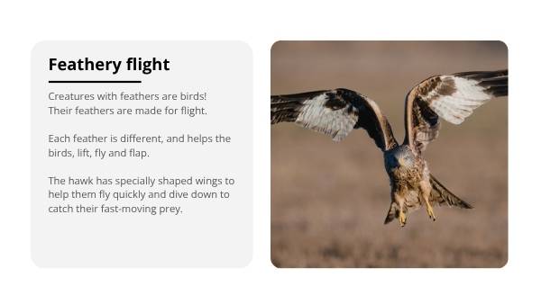 The Features of Creatures Education Presentation — slide 10