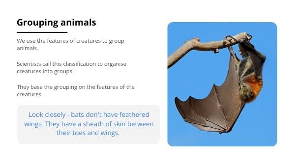 The Features of Creatures Education Presentation — slide 12