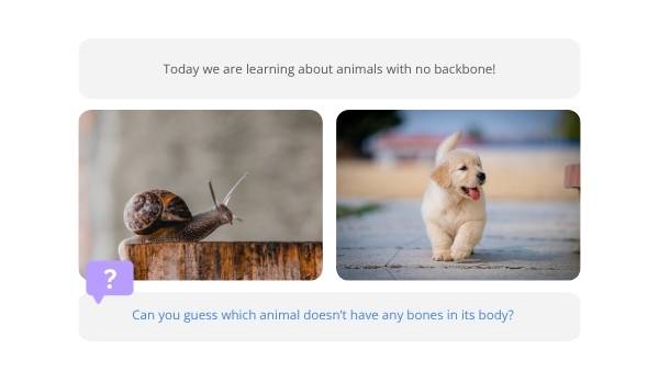 Animals Without Backbones Education Presentation — slide 3