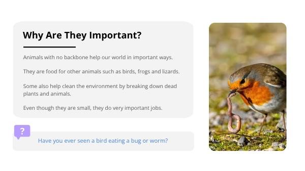 Animals Without Backbones Education Presentation — slide 6