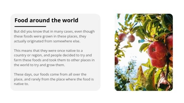 Food From Around The World Education Presentation — slide 5