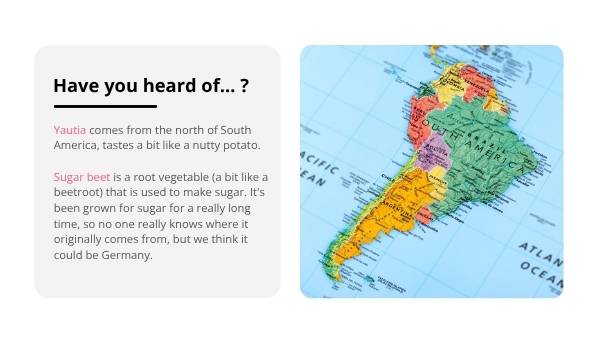 Food From Around The World Education Presentation — slide 9