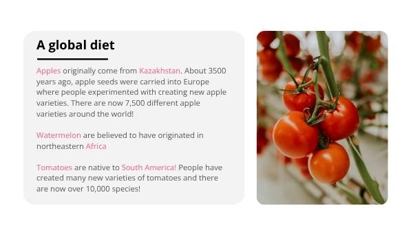 Food From Around The World Education Presentation — slide 11