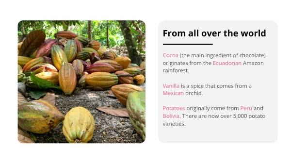 Food From Around The World Education Presentation — slide 12