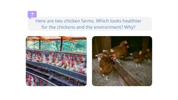 Food & Farming Impacts Education Presentation — slide 3