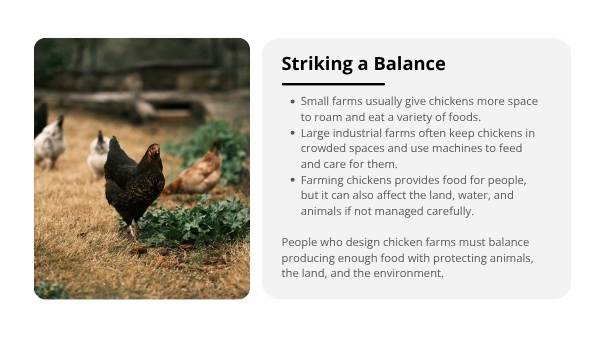 Food & Farming Impacts Education Presentation — slide 4