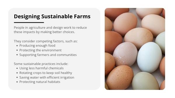 Food & Farming Impacts Education Presentation — slide 7