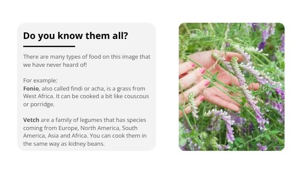 Where Does Our Food Come From? Education Presentation — slide 8