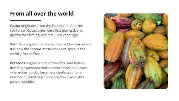Where Does Our Food Come From? Education Presentation — slide 12